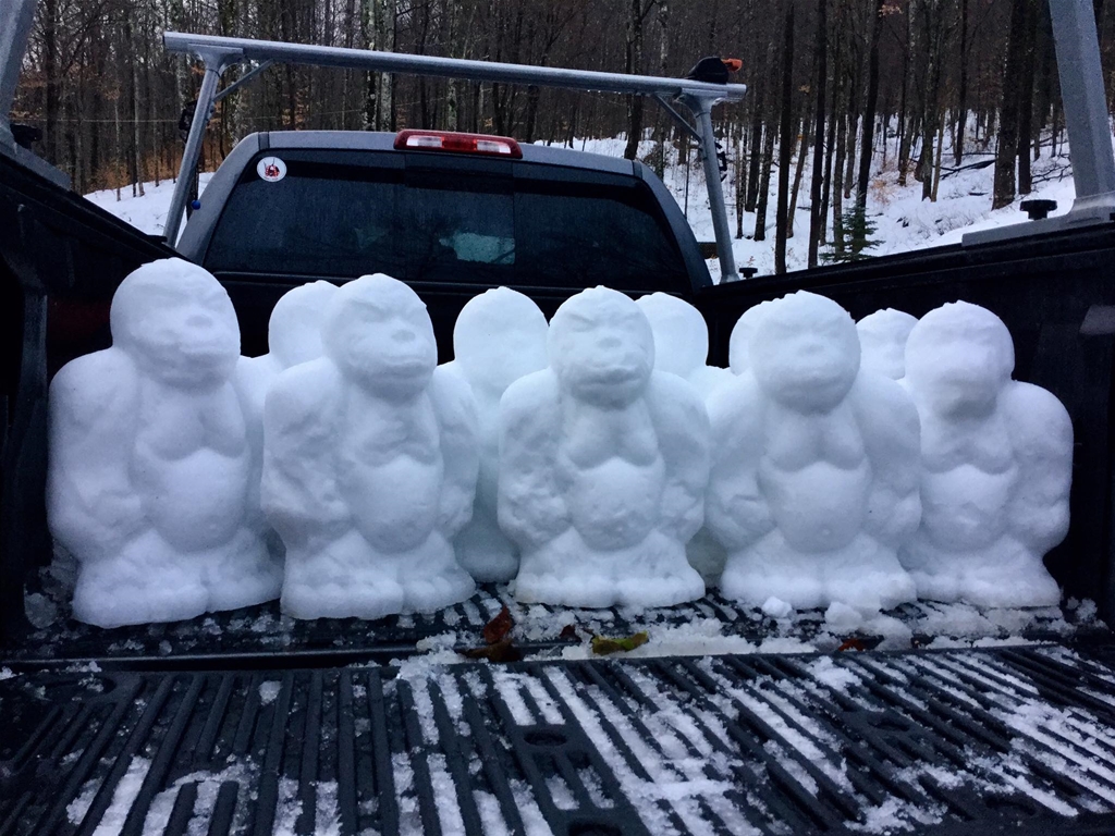 Yetis