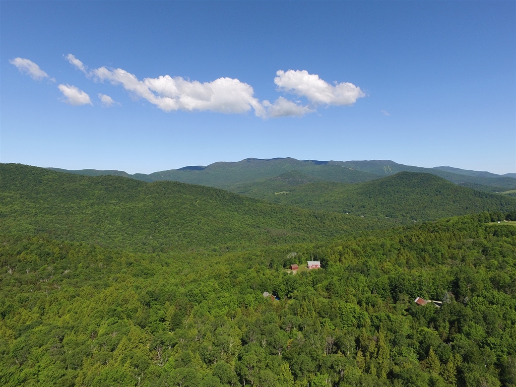 Summer in the Mad River Valley