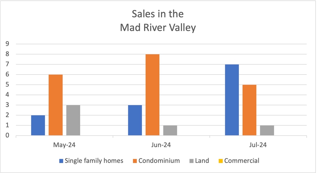 Sales Graph 20241015